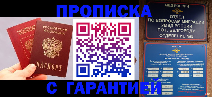 прописка 2025 в Кохме